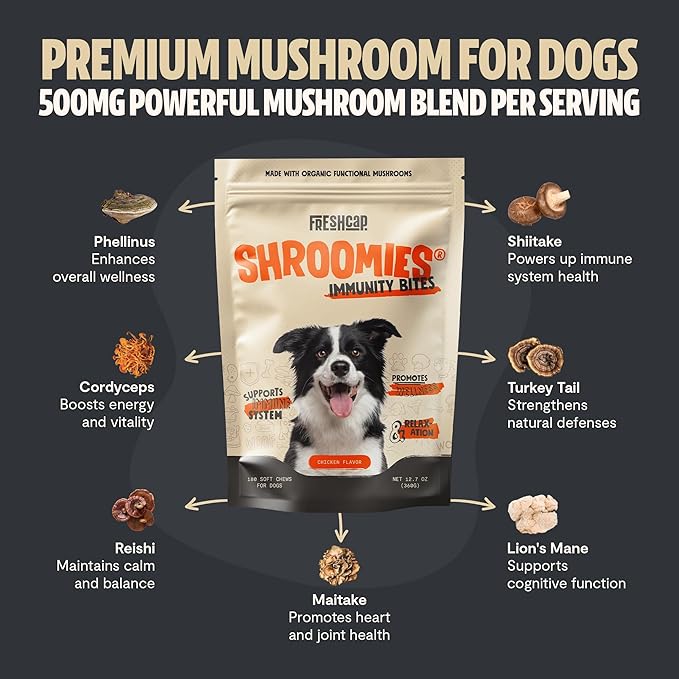 FreshCap Mushrooms Shroomies - 13 in 1 Turkey Tail Mushroom for Dogs, Super Blend Mushroom Supplement for Dogs, Dog Immune Support, Calming Treats (180 Soft Chews)