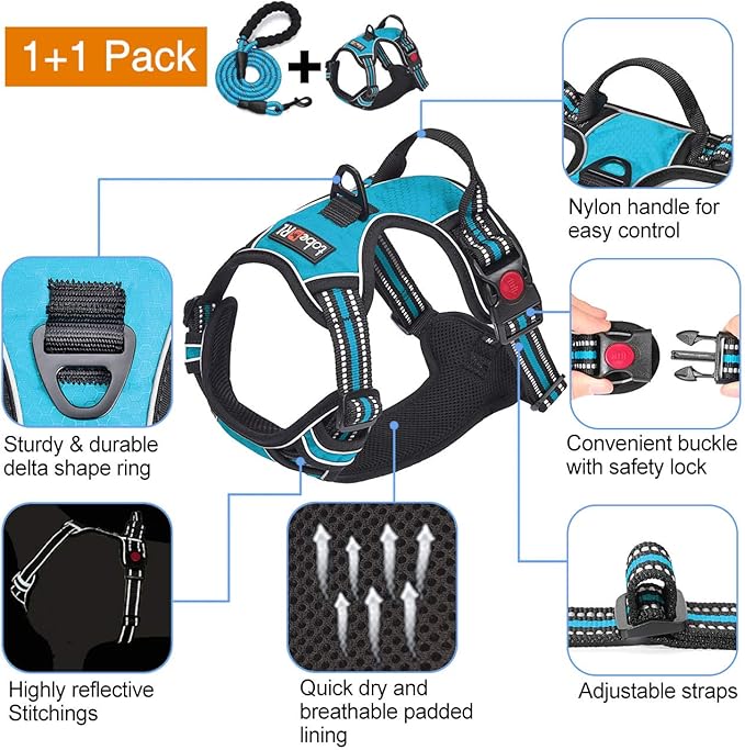 No Pull Dog Harness Adjustable Reflective Oxford Easy Control Medium Large Dog Harness with A Free Heavy Duty 5ft Dog Leash (S (Neck: 13"-18", Chest: 17.5"-22"), Blue Harness+Leash)