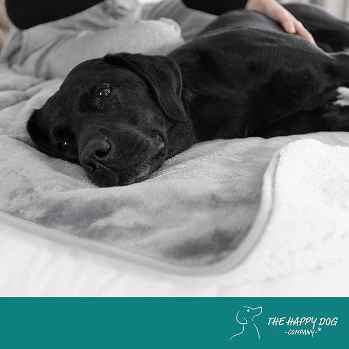 100% Waterproof Dog Blankets - Extra Large Dogs - Soft Fleece Washable Dog Blankets for Couch, Pet Blankets for Bed/Sofa/Dog Crate, Reversible Fluffy Furniture Protector, 47"x57", Gray/Gray