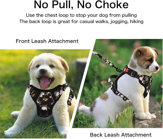 Petmolico No Pull Dog Harness Set, 4 Leash Attchment Easy Control Handle Reflective Vest Dog Harness for Small Breed,Harness and Leash Set with Poop Bag Holder, Small Yellow Peach Blossom