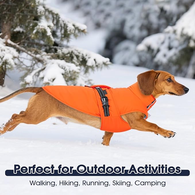 IECOii Warm Dog Coat Reflective Snow Jackets with Leash Hole Waterproof Windproof Winter Vest Coat with Buckles Cozy Fleece Vests for Winter, Spring, Fall, Outdoor Cold Weather Coats, Pink, Size 3XL