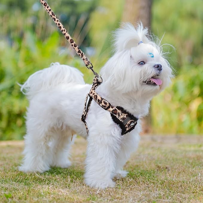 PUPTECK Dog Harness and Leash Set Small Sized, Step in No Pull Adjustable Puppy Cat Harness Reflective Pet Vest