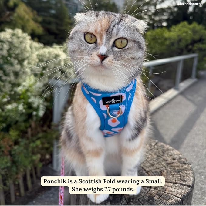 Lucy & Co. Eggcelent Step-in Cat Harness & Leash Bundle – Reflective, Breathable & Adjustable Harness for Cats, Kittens & Small Dogs, Lightweight & Secure and Dual Leash Clips – X-Small