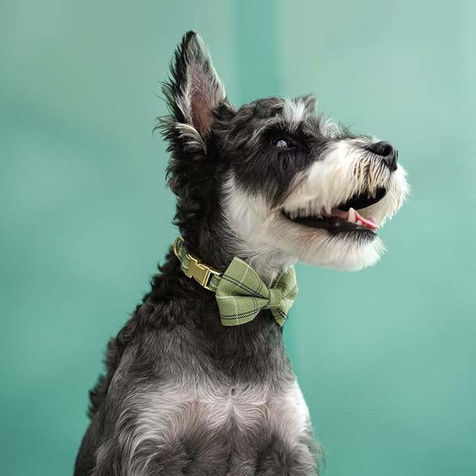 Beirui Cute Extra Small Dog Harness Collar and Leash Set with Bowtie, Soft Adjustable Plaid Puppy Harness for Small Sized Dogs Cats Walks Parties and Photoshoots(Green,XS:Chest 13-18")