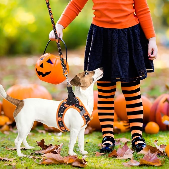 PUPTECK Adjustable Dog Harness Collar and Leash Set Step in No Pull Pet Harness for Small Medium Dogs Puppy and Cats Outdoor Walking Running, Soft Mesh Padded Reflective Vest Harnesses, Halloween, L