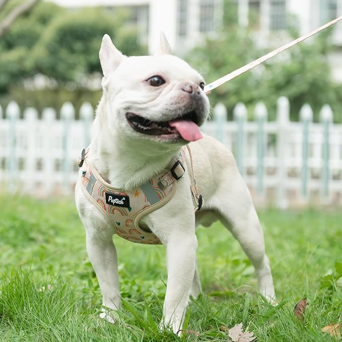 PUPTECK Dog Harness and Leash Set Small Sized, Step in No Pull Adjustable Puppy Cat Harness Reflective Pet Vest