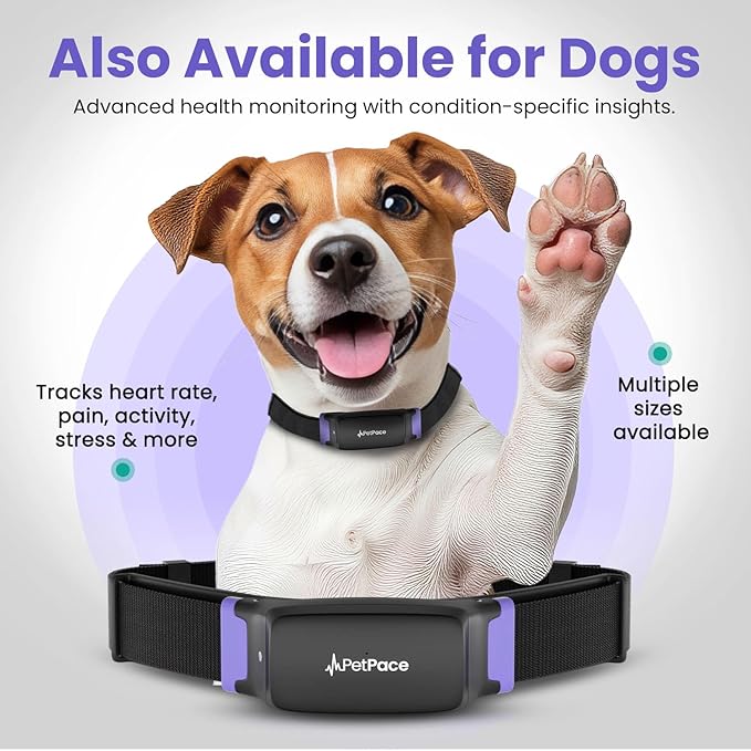 New PetPace V3.0 Cat Health Monitor by PetPace – AI Health Collar with 24/7 Vital Signs Alerts, GPS, Telehealth Consults, AskaVet & Share with Your Vet & SmartWatch Sync – Subscription Required