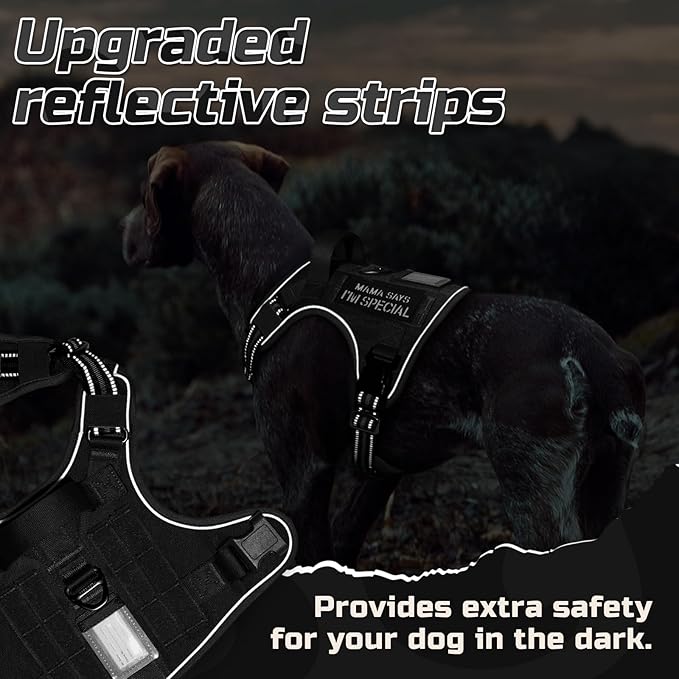 rabbitgoo Tactical Dog Harness for Small Dogs, No Pull Military Service Vest with Handle & Molle, Easy Control for Training Walking, Adjustable Reflective Straps, Black, S