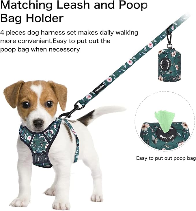 Petmolico No Pull Dog Harness Set with Leash Attachment Easy Control Handle Reflective Harness Vest Small Breed, Puppy Vest and Leash Set with Poop Bag Holder, Small - Green Rhododendron