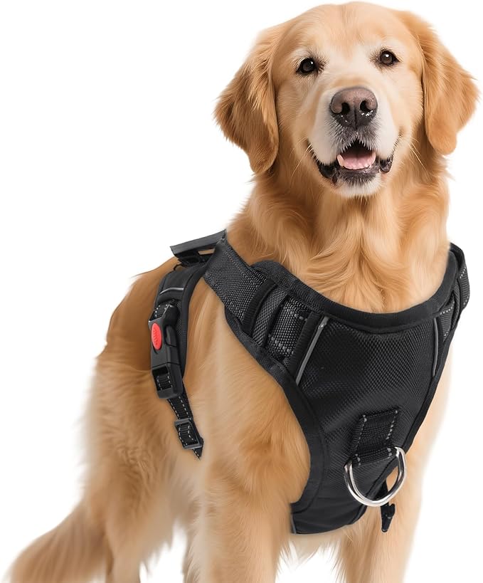 No Pull Dog Harness with 2 Leash Clips, Reflective Adjustable Soft Padded Vest with Handle, Breathable Oxford No Choke Pet Vest for Large Dogs, Black,XL