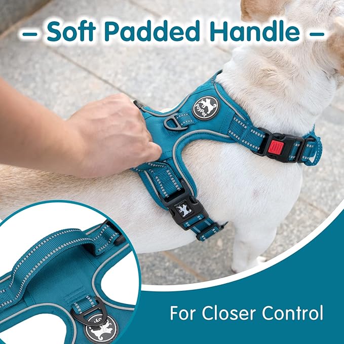 PoyPet No Pull Dog Harness and 5 Feet Leash Set, Release on Neck Reflective Adjustable Pet Vest, Front & Back 2 D-Ring and Soft Padded Pet Harness with Handle for Small to Large Dogs(Tumalo Teal,S)