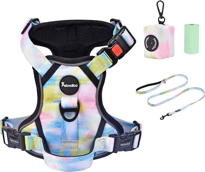Petmolico No Pull Dog Harness Set with Leash Attachment Easy Control Handle Reflective Harness Vest Small Breed, Puppy Vest and Leash Set with Poop Bag Holder, Small - Iridescent