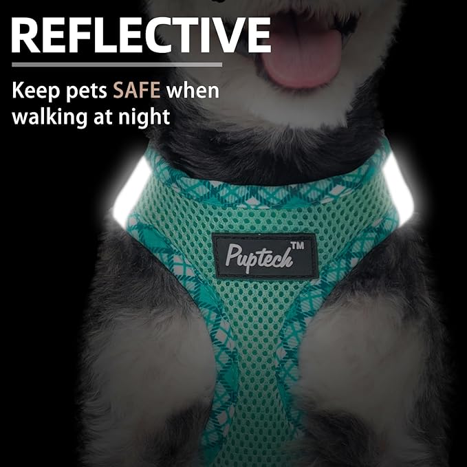PUPTECK Dog Harness and Leash Set for Small Medium Dogs No Pull Step-in Soft Mesh Puppy Cat Vest Harnesses Reflective at Night, Green L