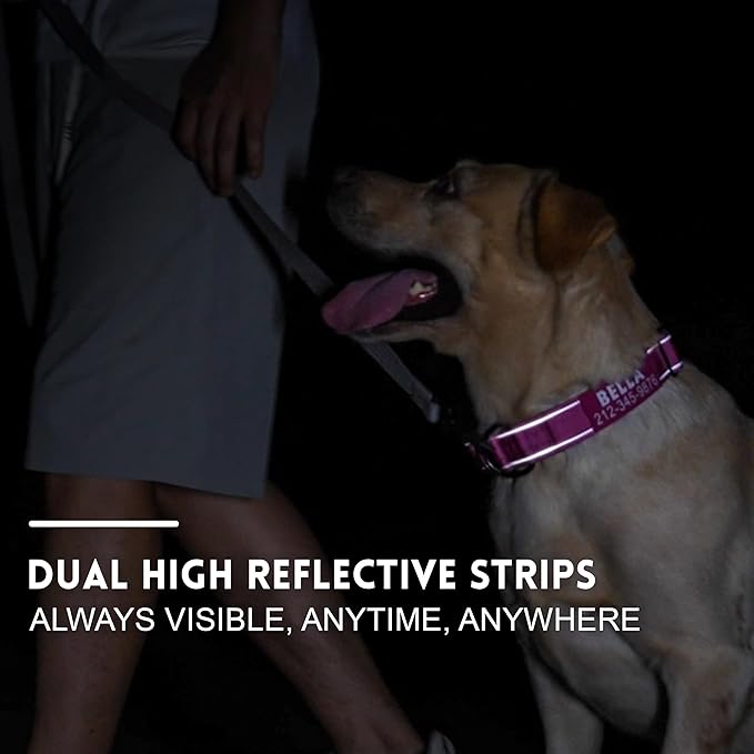 Personalized Tactical Dog Collar with Control Handle, Custom Name & Phone, Neoprene-Padded Lining, Reflective Strips, Heavy-Duty Thick Nylon, Metal Buckle, for Medium & Large Dogs