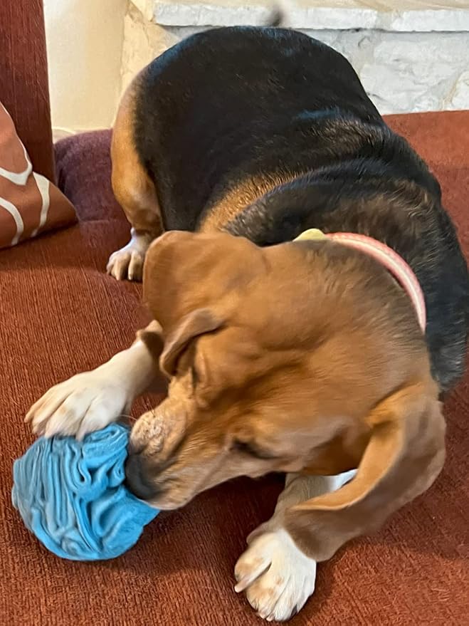 Glory To Dog Puppy and Small Breed Snuffle Interactive Foraging Dog Puzzle Ball Toy Pink