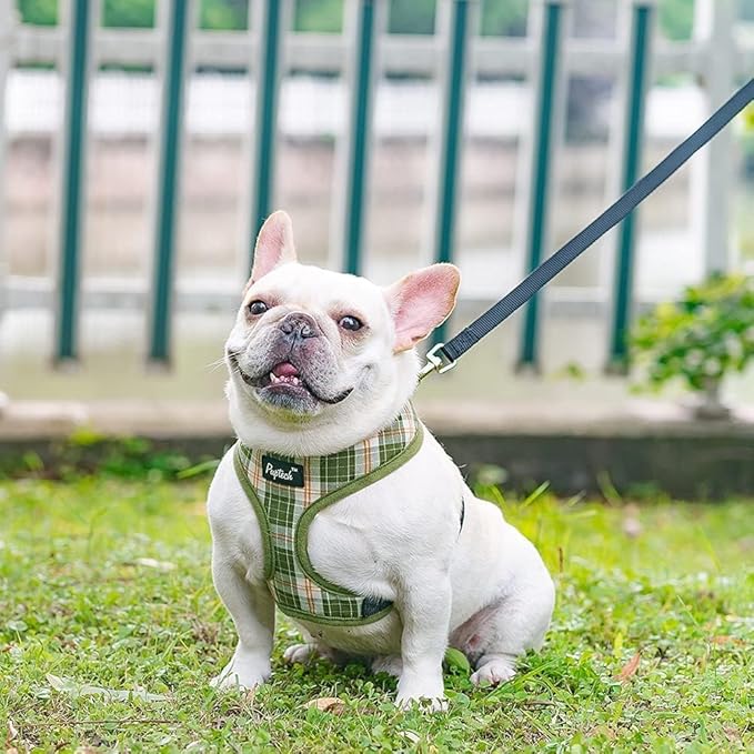 PUPTECK Soft Mesh Dog Harness and Leash Set Pet Puppy Cat Comfort Padded Vest No Pull Harnesses, Olive Green, M