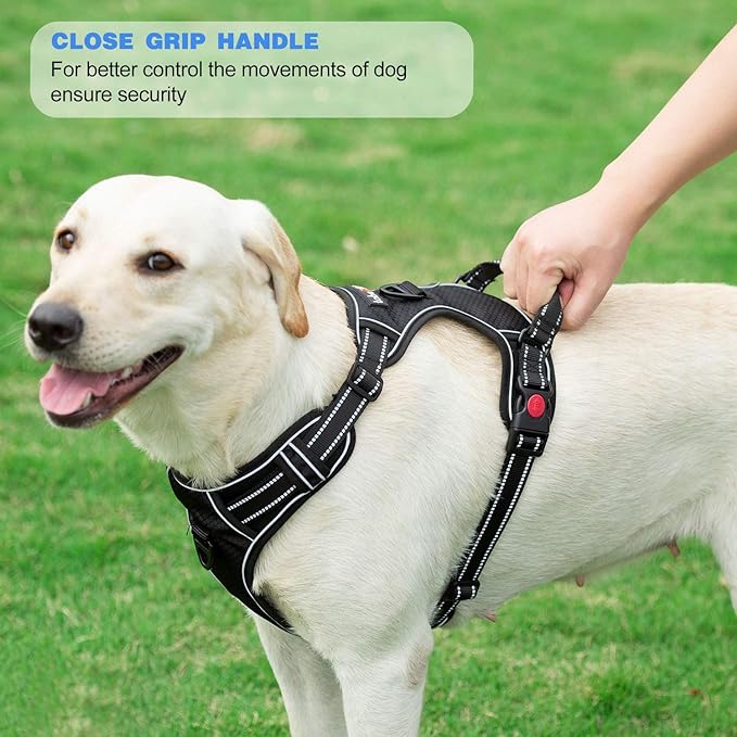 No Pull Dog Harness Adjustable Reflective Oxford Easy Control Medium Large Dog Harness with A Free Heavy Duty 5ft Dog Leash (XL (Neck: 21.5"-33", Chest: 30"-39.5"), Red Harness+Leash)