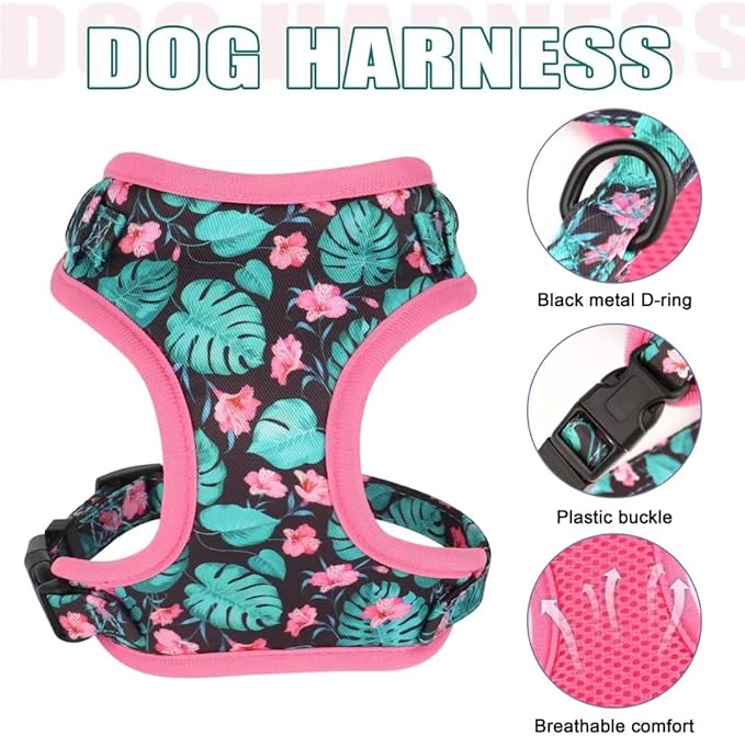 Beirui Cute Girl Dog Collars, Harnesses & Leashes Set - Adjustable Dog Collar and Leash Set with Flower - Soft Mesh Dog Vest Harness for Puppies Small & Extra Small Dogs Cats (Green,XXS)