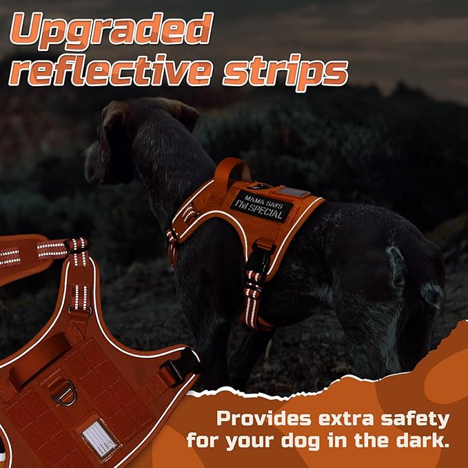 rabbitgoo Tactical Dog Harness for Large Dogs, No Pull Military Service Vest with Handle & Molle, Easy Control for Training Walking, Adjustable Reflective Straps, Orange, XL