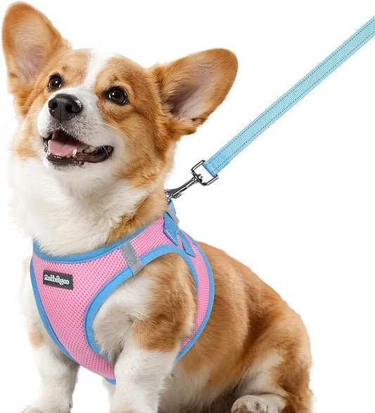 rabbitgoo Dog Harness Small Sized and Leash Set, Step-in Breathable Pet Harness, Soft Walking Reflective Puppy Vest for Small Dogs, Pink & Light Blue, L
