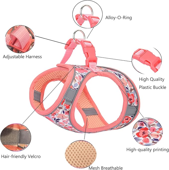 Small Dog Harness and Leash Set, Step in Dog Harness No Pull for Walking Running Training, Puppy Essentials for Dogs Cat Bunny, Adjustable Reflective Dog Vest Harness. (Orange, M)