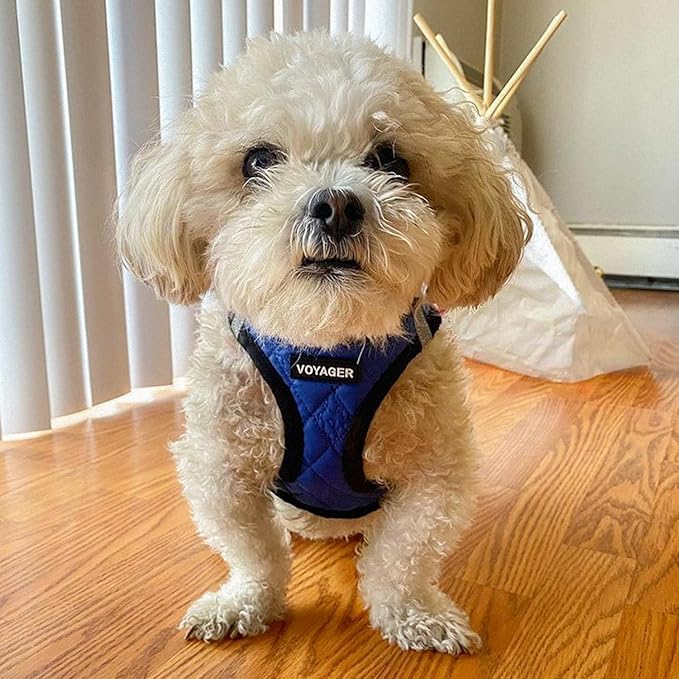 Best Pet Supplies - All Weather Mesh/Plush, Reflective, No Pull Harness for Small, Medium Dogs, Cats - Secure with Hook & Loop Fastener, Buckle, Double D-Rings - Royal Blue Faux Leather, S