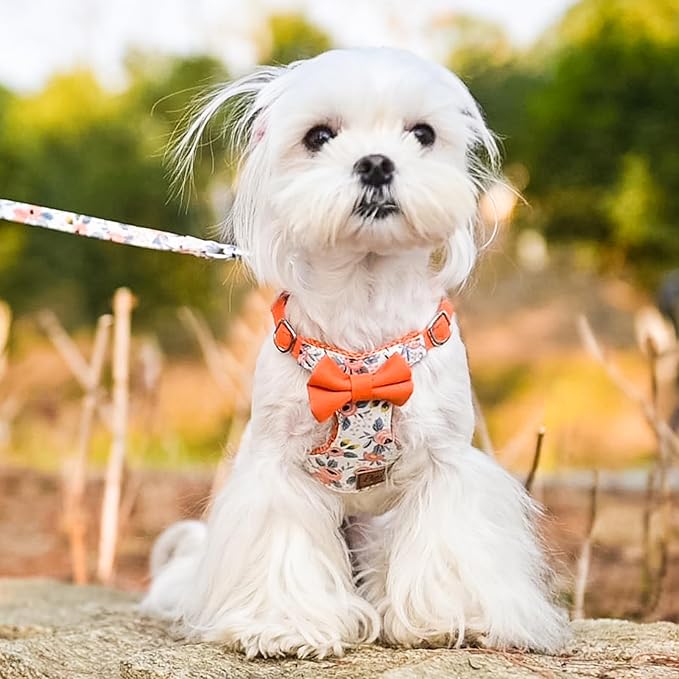 PUPTECK Dog Harness and Leash Set Small Sized, Step-in Cute Puppy Harness, Soft Lightweight Padded Vest, Escape Proof No Pull Pet Harnesses Easy for Walking, Flower Orange, XXS