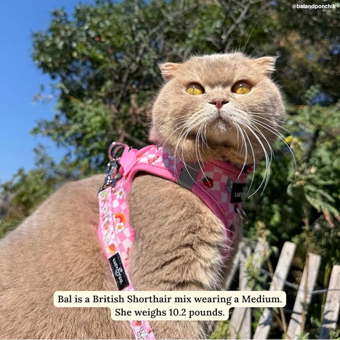 Lucy & Co. Cutie Patootie Step-in Cat Harness & Leash Bundle – Reflective, Breathable & Adjustable Harness for Cats, Kittens & Small Dogs, Lightweight & Secure and Dual Leash Clips – Medium