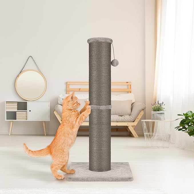PAWSCRAT Cat Scratching Post 32 Inch High, 5.5 Inch Large Diameter Natural Sisal Cat Scratch Post, Scratch-Resistant and Durable Tall Cat Scratcher for Indoor Cats, Protect Your Furniture, Gery