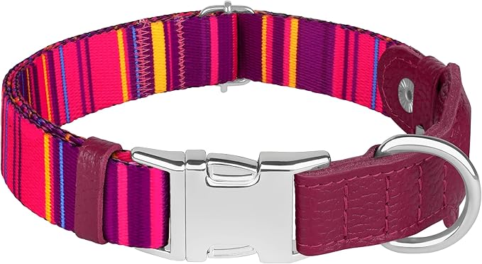 AirTag Dog Collar for Small Medium Large Breed - Adjustable Cute Pattern Dog Collar with Airtag Holder - Soft Leather Tracker GPS Apple Air Tag Pet Collars (X-Small, 9"-12" Neck Fit, Striped)