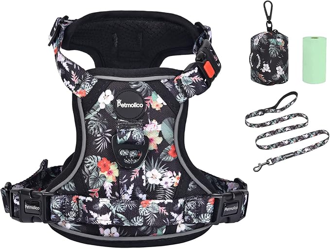 Petmolico No Pull Dog Harness Set with Leash Attachment Easy Control Handle Reflective Harness Vest Small Breed, Puppy Vest and Leash Set with Poop Bag Holder, Medium - Rainforest Flower