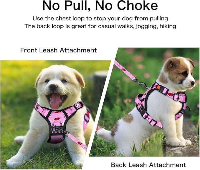 Petmolico No Pull Dog Harness Set with Leash Attachment Easy Control Handle Reflective Harness Vest Small Breed, Puppy Vest and Leash Set with Poop Bag Holder, Small - Red Lips