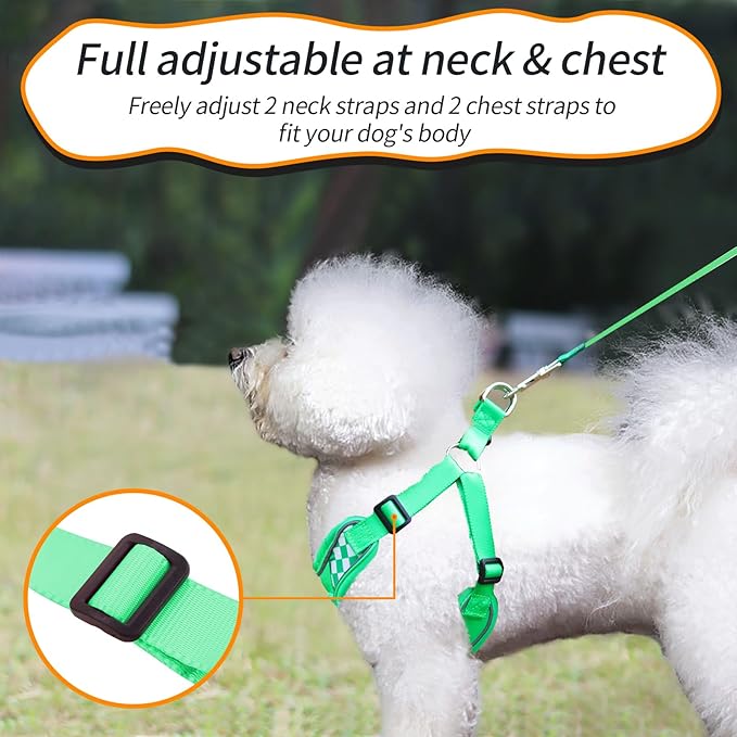 Dog Denim Harness with Leash Set, Adjustable Step in with Breathable Padded Vest Harness for Small Dogs Training and Running (XS Green)
