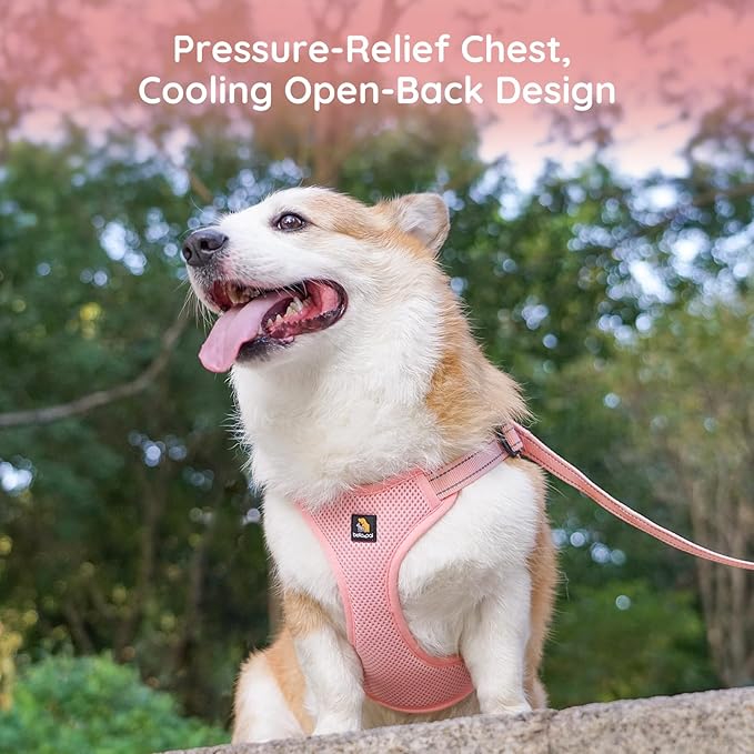 BELLA & PAL Adjustable Step-in Dog Harness, Puppy No-Pull Vest with Leash Set for XS/Small & Medium Dog, Breathable All-Weather Mesh, Reflective Strip, Secure Hook & Loop, Buckle Closure