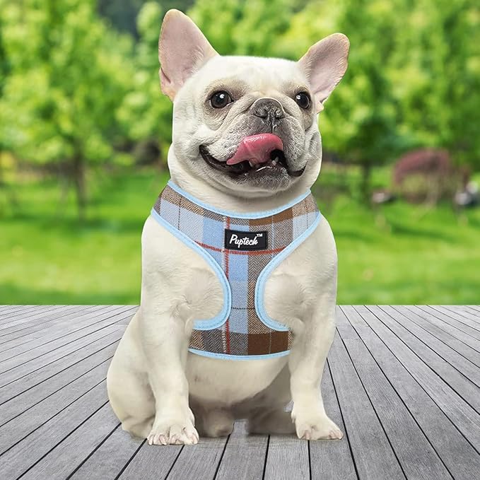 PUPTECK Soft Mesh Dog Harness and Leash Set Pet Puppy Cat Comfort Padded Vest No Pull Harnesses, Blue&Brown, XS