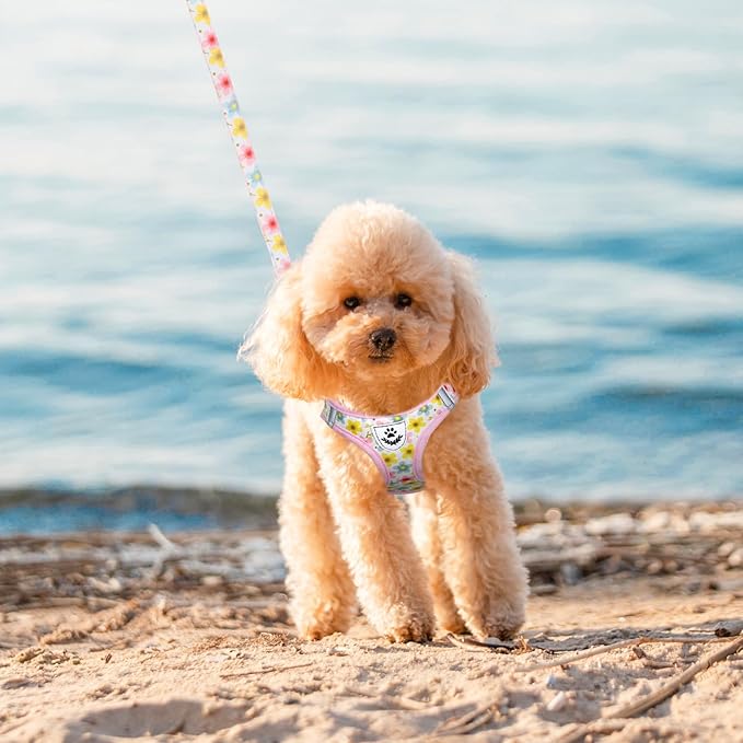 EXPAWLORER Small Dog Harness and Leash Set - Cute Puppy Harness Leash Dog Collar with AirTag Holder Silicone Case, Soft Padded Step in Pet Vest Reflective for Outdoor Walking, Floral S