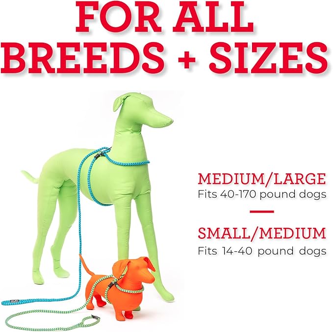 Harness Lead No Pull Dog Harness and Leash Set, Anti Pull Dog Harness for All Breeds and Sizes, One-Piece Cushioned Rope Design Safely Prevents Escaping and Pulling (Medium/Large, Blue/Multi)