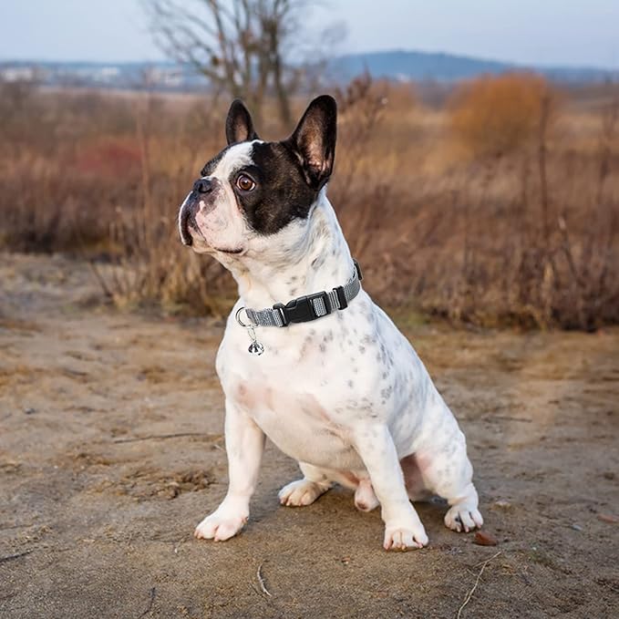 PUPTECK Adjustable Dog Harness Collar and Leash Set Step in No Pull Pet Harness for Small Medium Dogs Puppy and Cats Outdoor Walking Running, Soft Mesh Padded Reflective Vest Harnesses, Solid Grey S