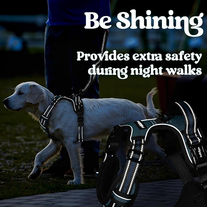 rabbitgoo Dog Harness for Large, No Pull Pet Harness with 3 Buckles, Adjustable Soft Padded Vest with Control Handle, Walking Reflective Pet Vest for Extra Large Dogs,Blue Coral,XL