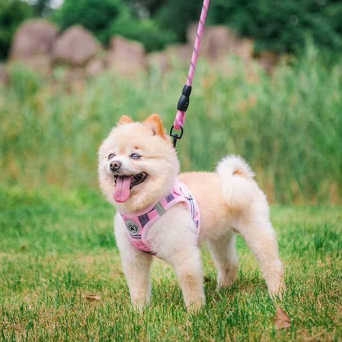BEAUTYZOO Small Dog Harness and Leash Set,Step in No Choke No Pull Soft Mesh Dog Harnesses Reflective for Extra-Small Medium Puppy Dogs and Cats, Plaid Dog Vest Harness for XS S Pets, Pink XS