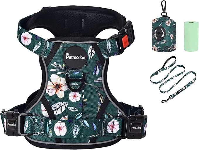 Petmolico No Pull Dog Harness Set with Leash Attachment Easy Control Handle Reflective Harness Vest Small Breed, Puppy Vest and Leash Set with Poop Bag Holder, Medium - Green Rhododendron