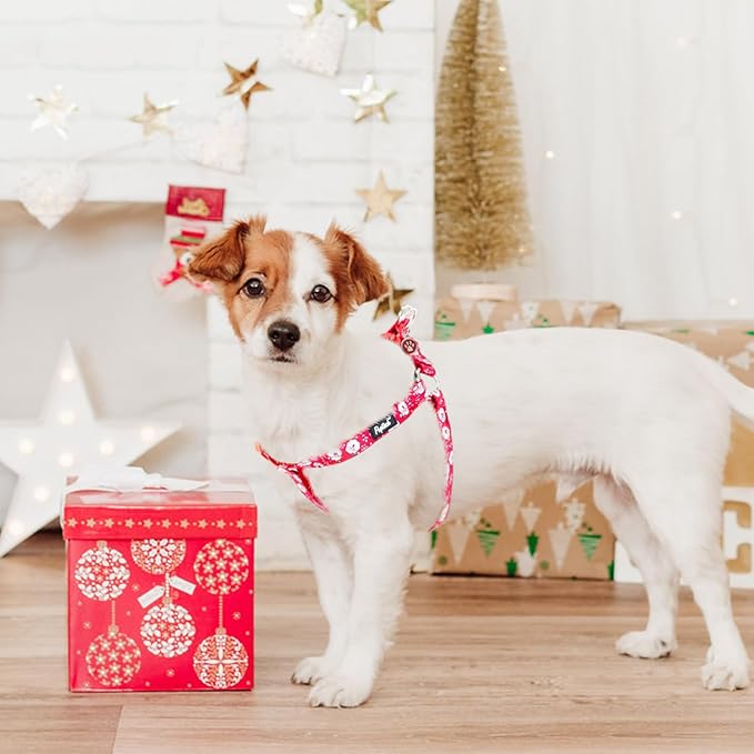 PUPTECK No Pull Christmas Dog Harness Soft Adjustable Basic Nylon Step in Puppy Vest Outdoor Walking with ID Tag, Red, M