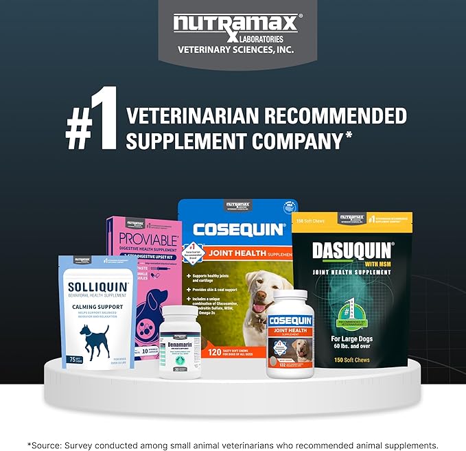 Nutramax Dasuquin for Large Dogs, Joint Health Supplement, Contains Glucosamine for Dogs, Plus Chondroitin, ASU, MSM and More, Supports Healthy Joints, Soft Chews, 42 Count