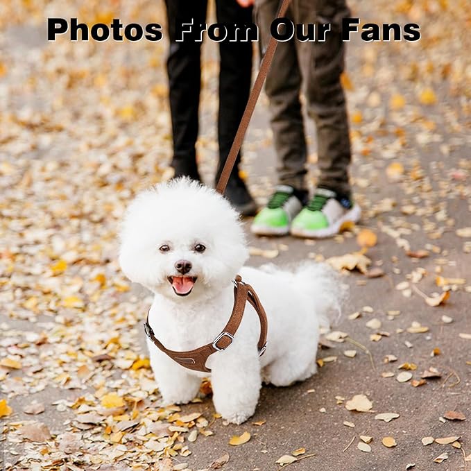 Dog Harness and Leash Set, XXS No Pull Adjustable Puppy Harness with Multifunction Pink Dog Leash and Dog Collar, Soft No Choke Escape Proof Pet Harness Vest for Small Dogs and Cats (Brown, XS)