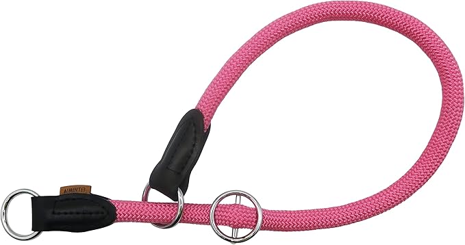 Braided Round Martingale Dog Collar, Training Collar with Slidable Stop Ring - Ideal for Medium/Large Dogs (M+(1/2") - 18" Long, Pink)