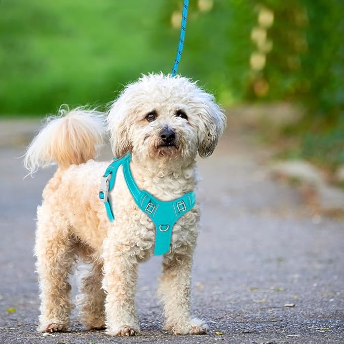 BARKBAY No Pull Dog Harness Large Reflective Dog Harness with Front Clip and Easy Control Handle for Walking Training Running with ID tag Pocket(Ocean Blue,XS)