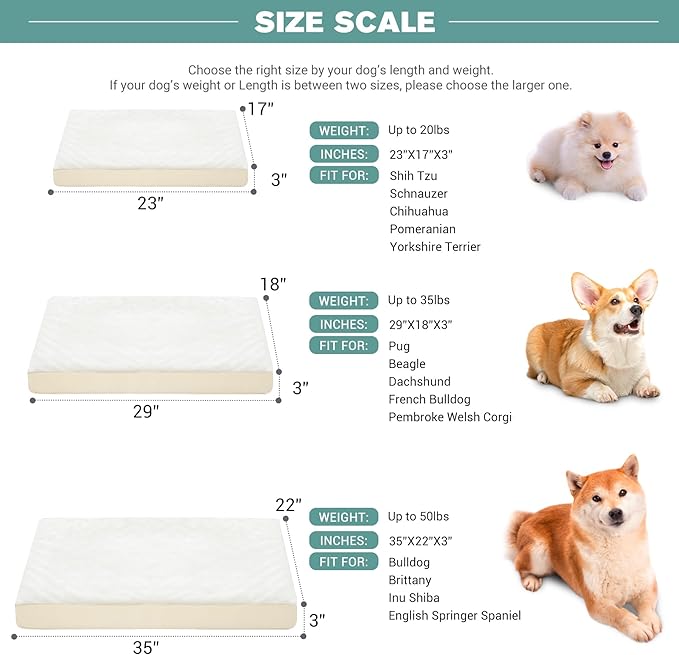 Vonabem Waterproof Small Dog Beds, Washable Crate Pad 24 inch, Orthopedic Foam Pet Bed with Removable Cover Reversible, Anti-Slip Puppy Kennel Pads, 23"x17", Beige