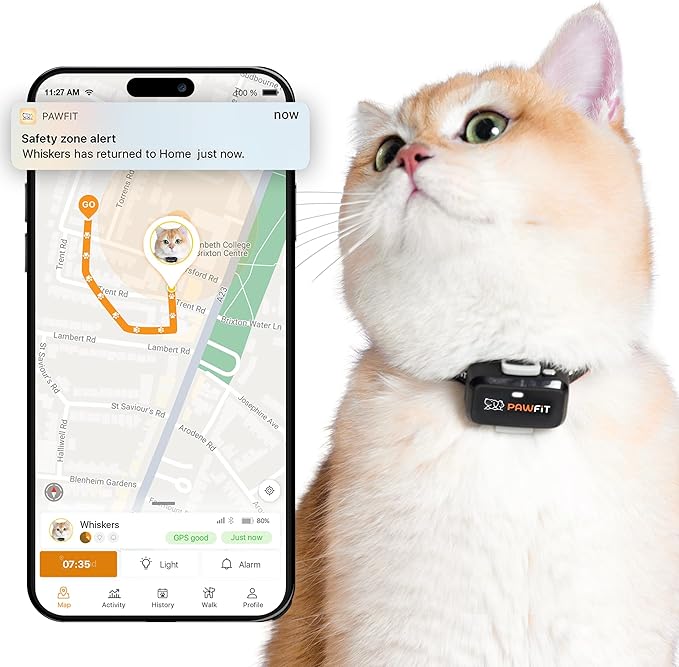 Pawfit Lite for Cats 4g GPS Tracker | Real Time Tracking | Activity Monitoring |Location History | Unlimited Range | Safety Collar Included | Onyx Black