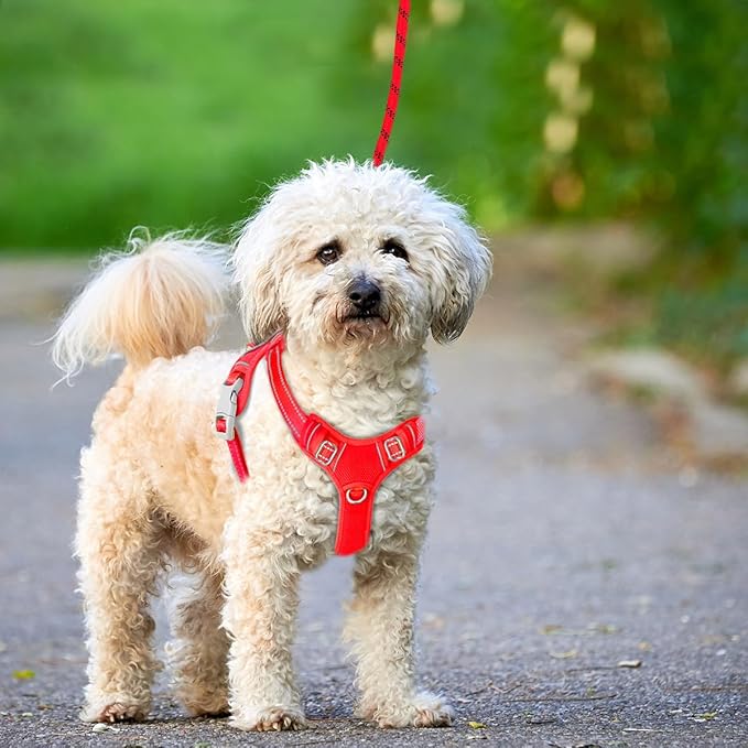 BARKBAY No Pull Dog Harness Large Reflective Dog Harness with Front Clip and Easy Control Handle for Walking Training Running with ID tag Pocket(Red,XS)