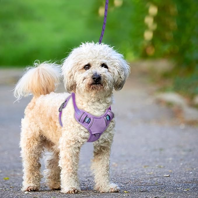 BARKBAY No Pull Dog Harness Large Reflective Dog Harness with Front Clip and Easy Control Handle for Walking Training Running with ID tag Pocket(Lavender Sky,XS)
